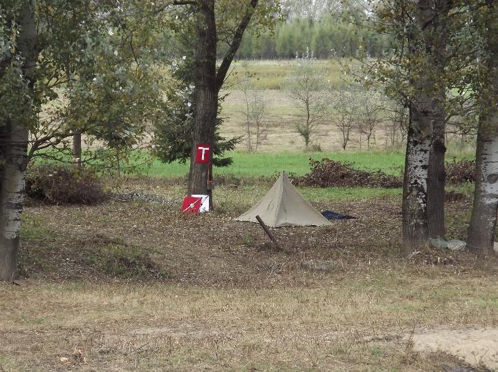 1 404.jpg